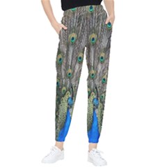 Peacock-feathers1 Women s Tapered Pants by nateshop