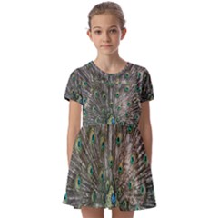 Peacock-feathers1 Kids  Short Sleeve Pinafore Style Dress by nateshop