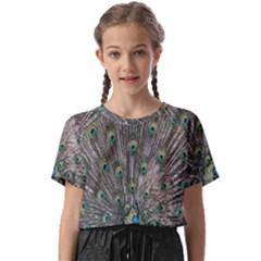 Peacock-feathers1 Kids  Basic T-shirt by nateshop