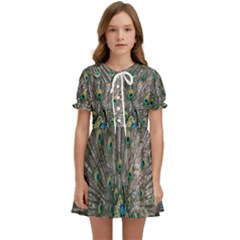 Peacock-feathers1 Kids  Sweet Collar Dress by nateshop