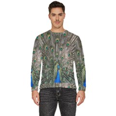 Peacock-feathers1 Men s Fleece Sweatshirt by nateshop