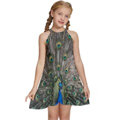 Peacock-feathers1 Kids  Halter Collar Waist Tie Chiffon Dress by nateshop