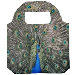 Peacock-feathers1 Foldable Grocery Recycle Bag by nateshop