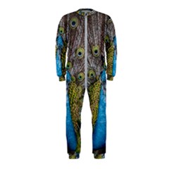 Peacock-feathers2 Onepiece Jumpsuit (kids) by nateshop