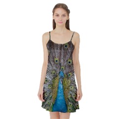 Peacock-feathers2 Satin Night Slip by nateshop