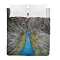 Peacock-feathers2 Duvet Cover Double Side (Full/ Double Size) View1