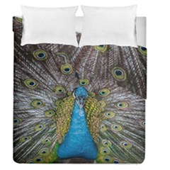 Peacock-feathers2 Duvet Cover Double Side (queen Size) by nateshop