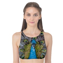 Peacock-feathers2 Tank Bikini Top by nateshop