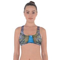 Peacock-feathers2 Got No Strings Sports Bra by nateshop