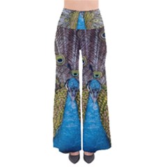 Peacock-feathers2 So Vintage Palazzo Pants by nateshop