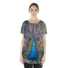 Peacock-feathers2 Skirt Hem Sports Top by nateshop