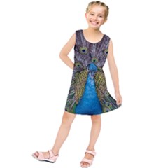 Peacock-feathers2 Kids  Tunic Dress by nateshop