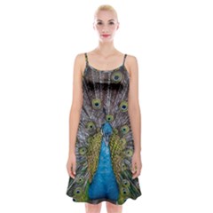 Peacock-feathers2 Spaghetti Strap Velvet Dress by nateshop