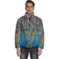 Peacock-feathers2 Men s Puffer Bubble Jacket Coat by nateshop