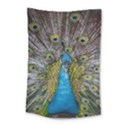 Peacock-feathers2 Small Tapestry View1