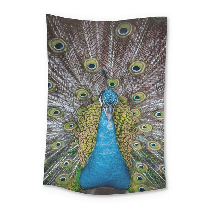 Peacock-feathers2 Small Tapestry