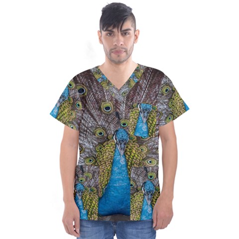 Peacock-feathers2 Men s V-neck Scrub Top by nateshop