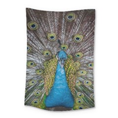 Peacock-feathers2 Small Tapestry by nateshop