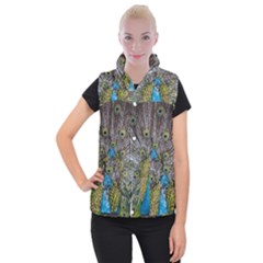 Peacock-feathers2 Women s Button Up Vest