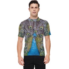 Peacock-feathers2 Men s Short Sleeve Rash Guard by nateshop