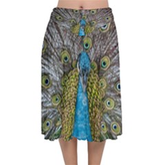 Peacock-feathers2 Velvet Flared Midi Skirt