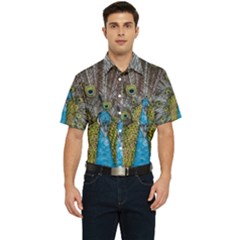 Peacock-feathers2 Men s Short Sleeve Pocket Shirt  by nateshop