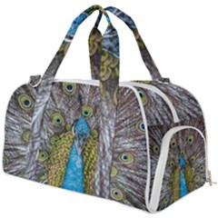 Peacock-feathers2 Burner Gym Duffel Bag by nateshop