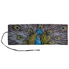 Peacock-feathers2 Roll Up Canvas Pencil Holder (m) by nateshop