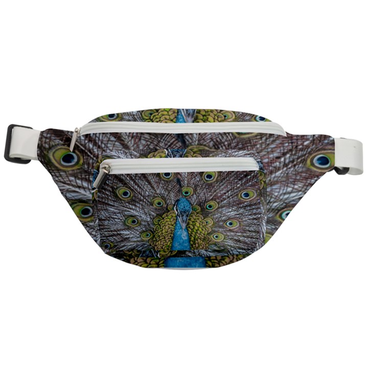 Peacock-feathers2 Fanny Pack