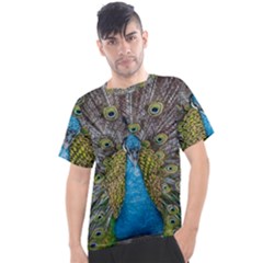 Peacock-feathers2 Men s Sport Top by nateshop