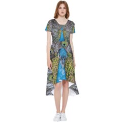 Peacock-feathers2 High Low Boho Dress