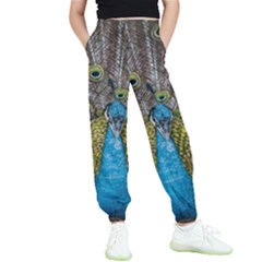 Peacock-feathers2 Kids  Joggers by nateshop