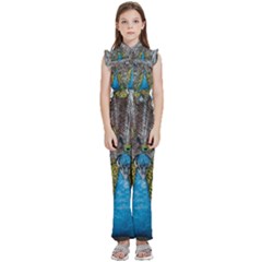 Peacock-feathers2 Kids  Sleeveless Ruffle Edge Band Collar Chiffon One Piece