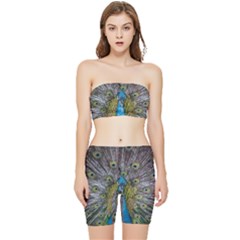 Peacock-feathers2 Stretch Shorts And Tube Top Set by nateshop