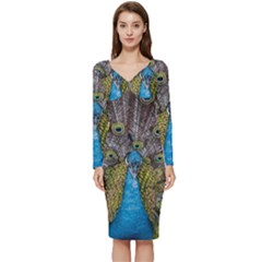 Peacock-feathers2 Long Sleeve V-neck Bodycon Dress  by nateshop