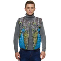 Peacock-feathers2 Men s Button Up Puffer Vest	 by nateshop