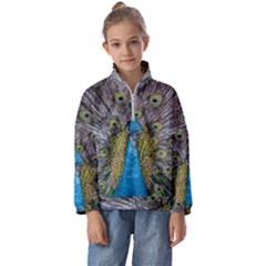 Peacock-feathers2 Kids  Half Zip Hoodie by nateshop