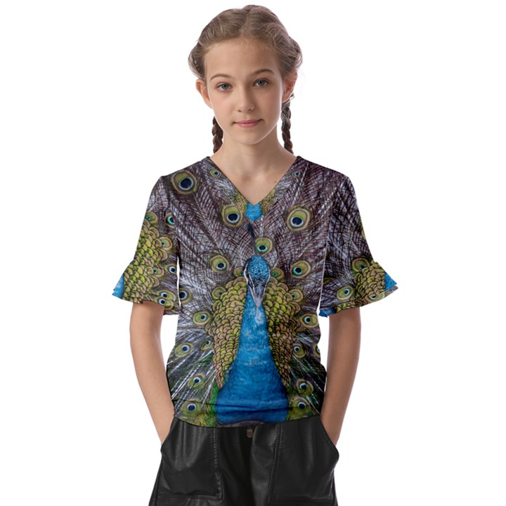 Peacock-feathers2 Kids  V-Neck Horn Sleeve Blouse