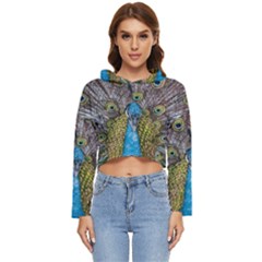 Peacock-feathers2 Women s Lightweight Cropped Hoodie by nateshop