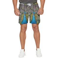 Peacock-feathers2 Men s Runner Shorts by nateshop