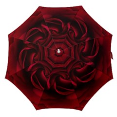 Rose Maroon Straight Umbrellas by nateshop