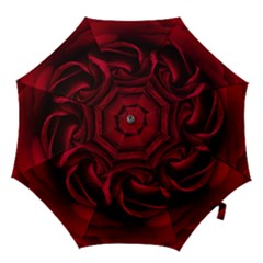 Rose Maroon Hook Handle Umbrellas (medium) by nateshop