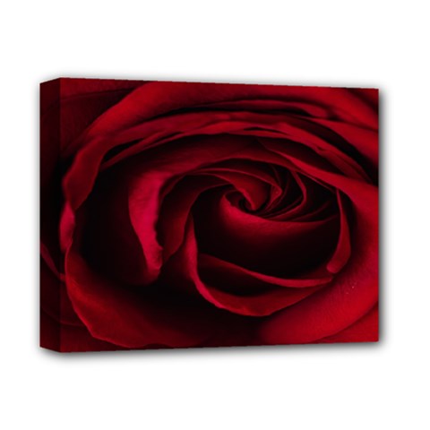 Rose Maroon Deluxe Canvas 14  X 11  (stretched) by nateshop