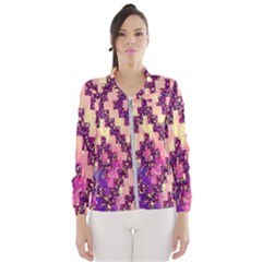 Cute Glitter Aztec Design Women s Windbreaker by nateshop