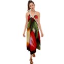 Fruits, Food, Green, Red, Strawberry, Yellow Halter Tie Back Dress  View1