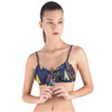 Inspired By The Colours And Shapes Tie Up Cut Bikini Top View1