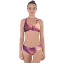 Pink Nature Criss Cross Bikini Set View1