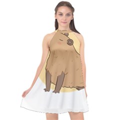 Capybara T- Shirt Cute Gentlemen Capybara T- Shirt Yoga Reflexion Pose T- Shirtyoga Reflexion Pose T- Shirt Halter Neckline Chiffon Dress  by hizuto