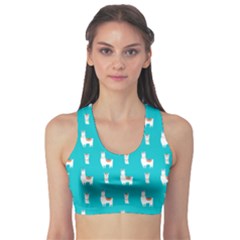 Lama Alpaca Animal Pattern Design Fitness Sports Bra by Pakjumat