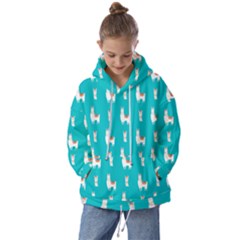 Lama Alpaca Animal Pattern Design Kids  Oversized Hoodie by Pakjumat